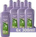 Andrélon Iedere Dag Shampoo, haarverzorging voor ieder haartype - 6 x 300 ml - Voordeelverpakking