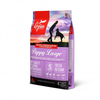 Orijen Puppy Large hondenvoer 11,4 kg - hondenbrokken