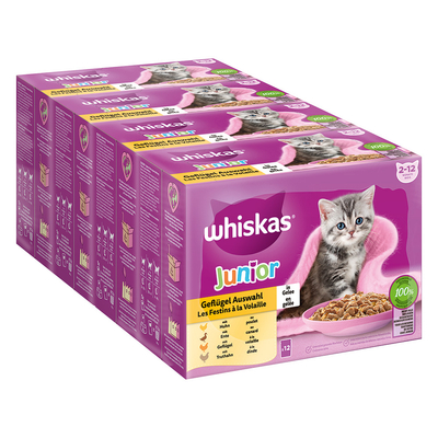 Whiskas Junior Maaltijdzakjes 48 x 85 g Kattenvoer - Gevogelte-selectie in gelei - natvoer katten