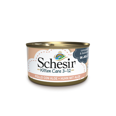 Schesir In Gelei Kattenvoer 6 x 85 g - Kitten - Kip met Aloë - natvoer katten