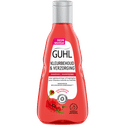Guhl Kleurbehoud & Verzorging Shampoo 250 ML