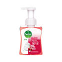 Dettol Foam Handzeep Rozen & Kers 250 ml