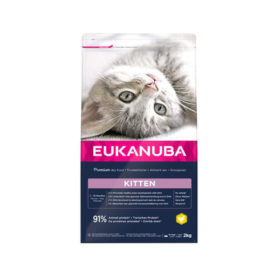 Eukanuba Kitten Healthy Start - 2kg - kattenbrokken