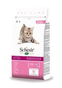 Schesir Kat Droog Kitten 1,5kg - kattenbrokken