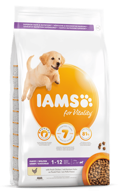 IAMS Puppy/Junior Large Chicken Hond 3 kg - hondenbrokken