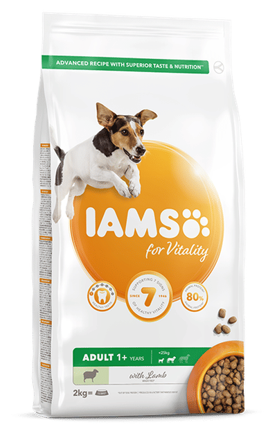 IAMS Adult Small/Medium Lamb Hond 3 kg - hondenbrokken