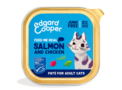 Edgard & Cooper zalm en kip paté kat natvoer kuipjes 16 x 85gr - natvoer katten