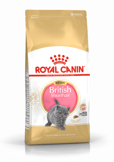 Royal Canin British Shorthair Kitten - Kattenvoer - 400 g