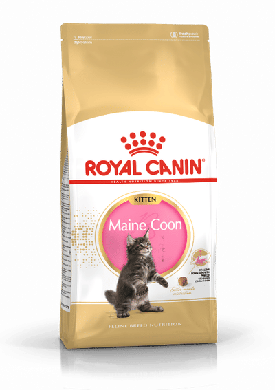 Royal Canin Maine Coon Kitten - Kitten-Kattenvoer - 400 g kattenbrokken