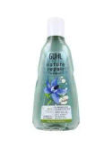 Guhl Shampoo Nature Repair 250 ml