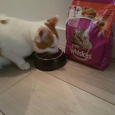 Whiskas Brokjes Adult Rund - Kattenvoer - 3.8 kg - kattenbrokken