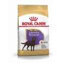 Royal Canin Sterilised Adult Labrador Retriever hondenvoer 12 kg - hondenbrokken