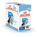 Royal Canin Maxi Puppy natvoer 1 doos (10 x 140 g) - natvoer honden