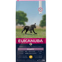 Eukanuba Growing Puppy Large Breed kip hondenvoer 15 + 3 kg - hondenbrokken