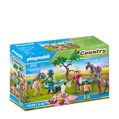 PLAYMOBIL Country Picknick excursie met paarden - 71239