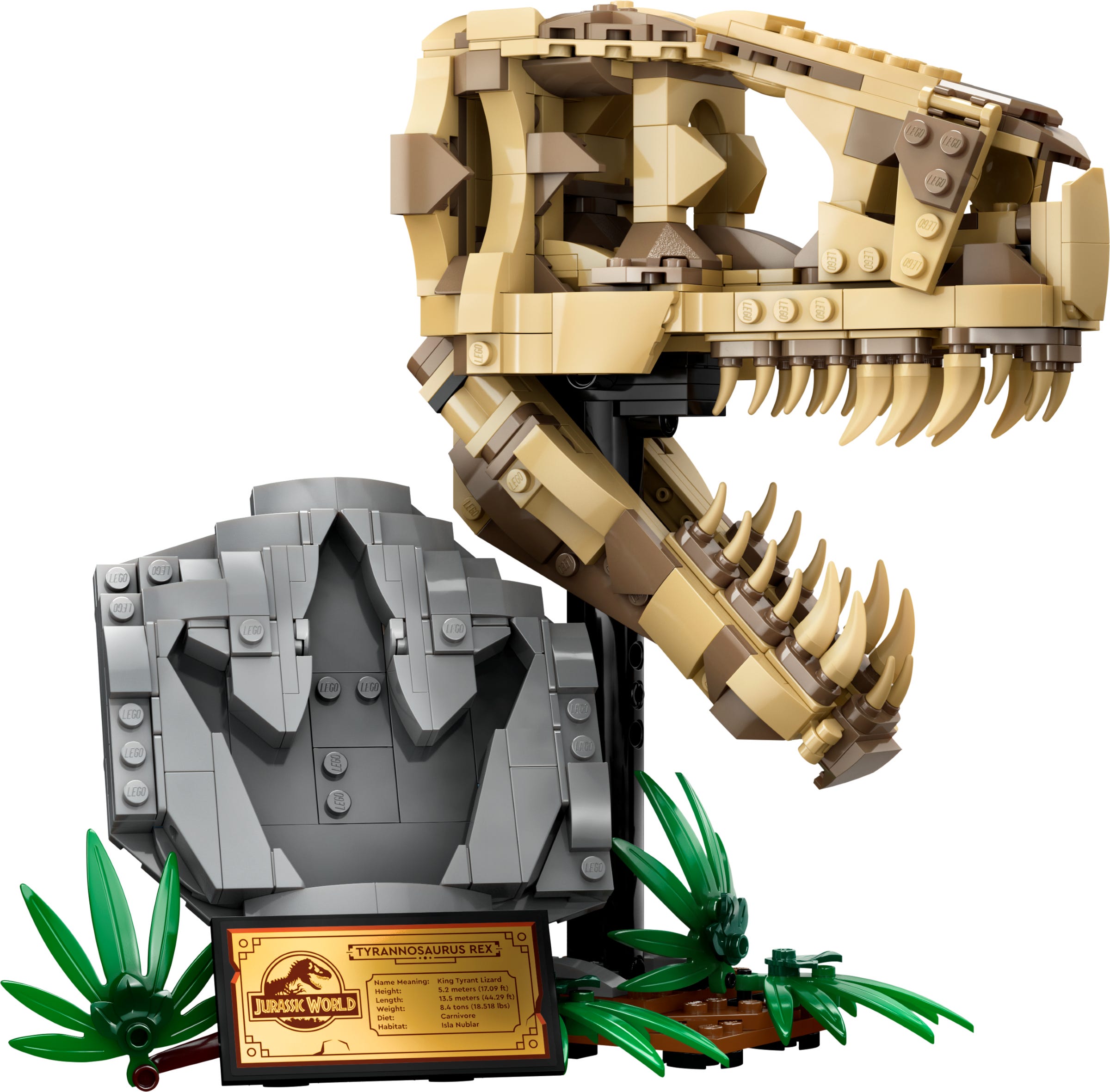 LEGO Jurassic World Dinosaurusfossielen: T. rex schedel 76964