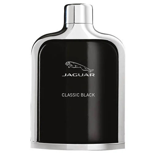 Classic Black Eau De Toilette 100 ml