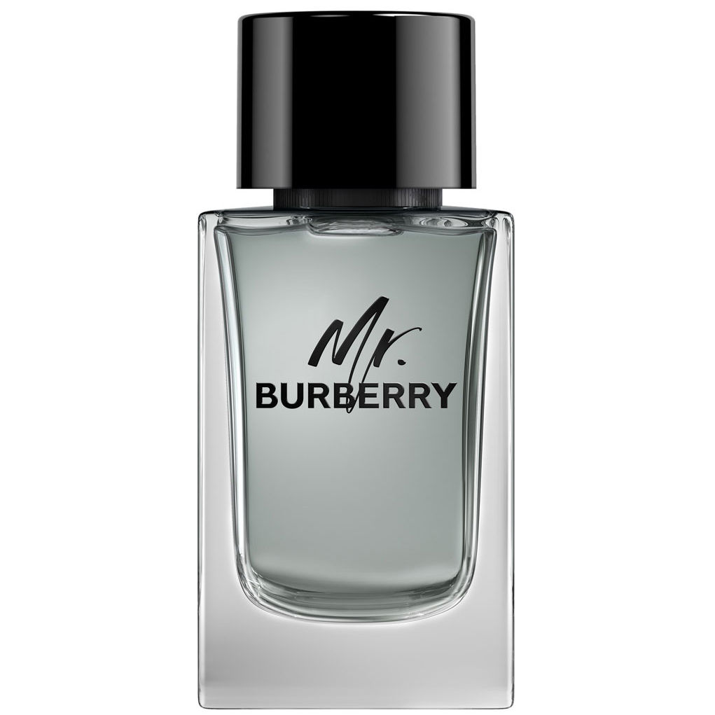 Burberry Mr. Burberry Eau de Toilette Spray 150 ml