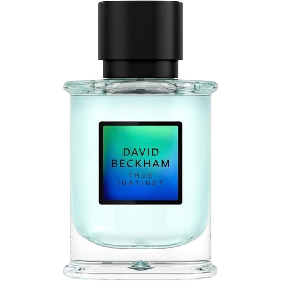 david-beckham-instinct-eau-de-parfum-spray-50-ml