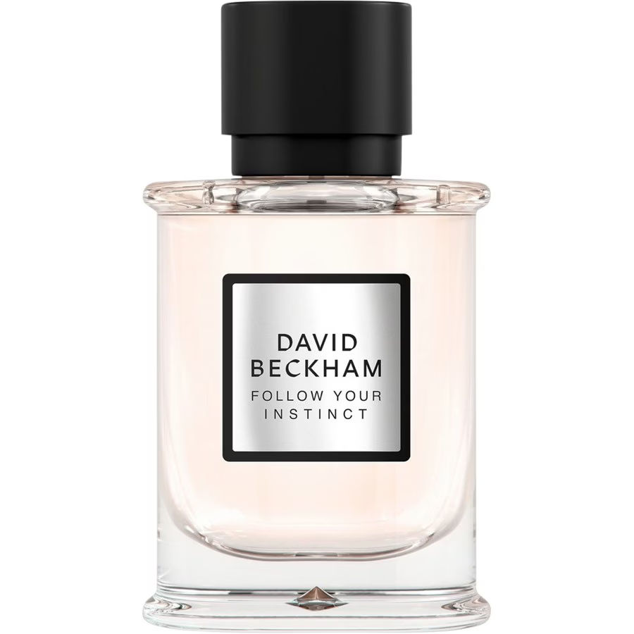 david-beckham-follow-your-instinct-eau-de-parfum-spray-50-ml