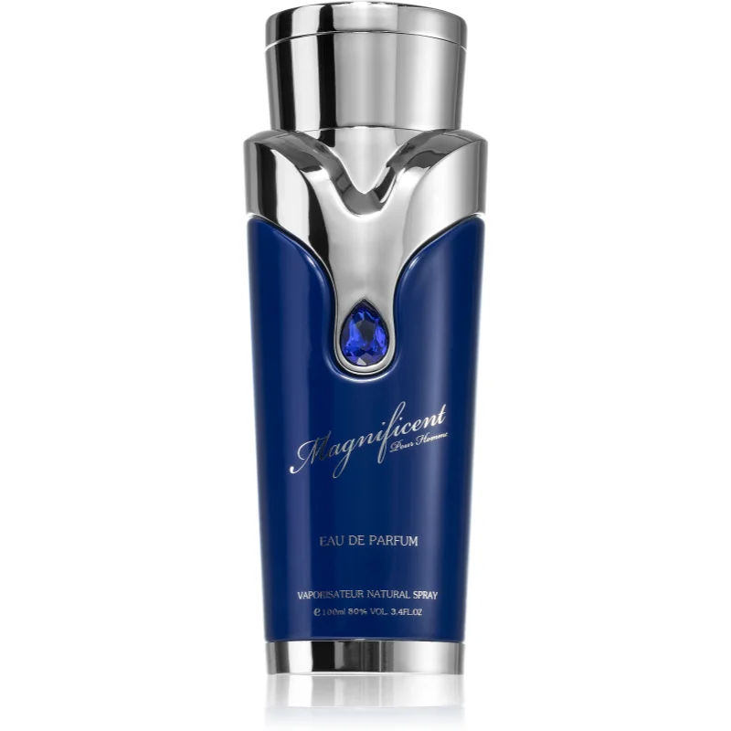 Armaf Magnificent Blue Pour Homme Eau de Parfum 100 ml