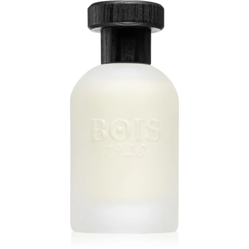 bois-1920-real-patchouly-eau-de-parfum-unisex-100-ml