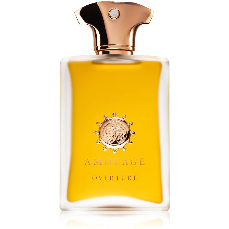 Amouage Overture Eau de Parfum 100 ml