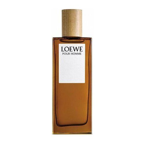 Loewe Pour Homme Eau de Toilette 50 ml