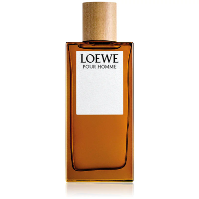 Loewe Loewe Pour Homme Eau de Toilette 100 ml