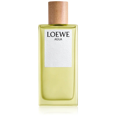 Loewe Agua Loewe - 100 ml - Eau de toilette