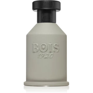 Bois 1920