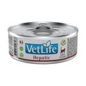 Farmina Vet Life Natural Diet Cat Hepatic, 80 gram - natvoer katten