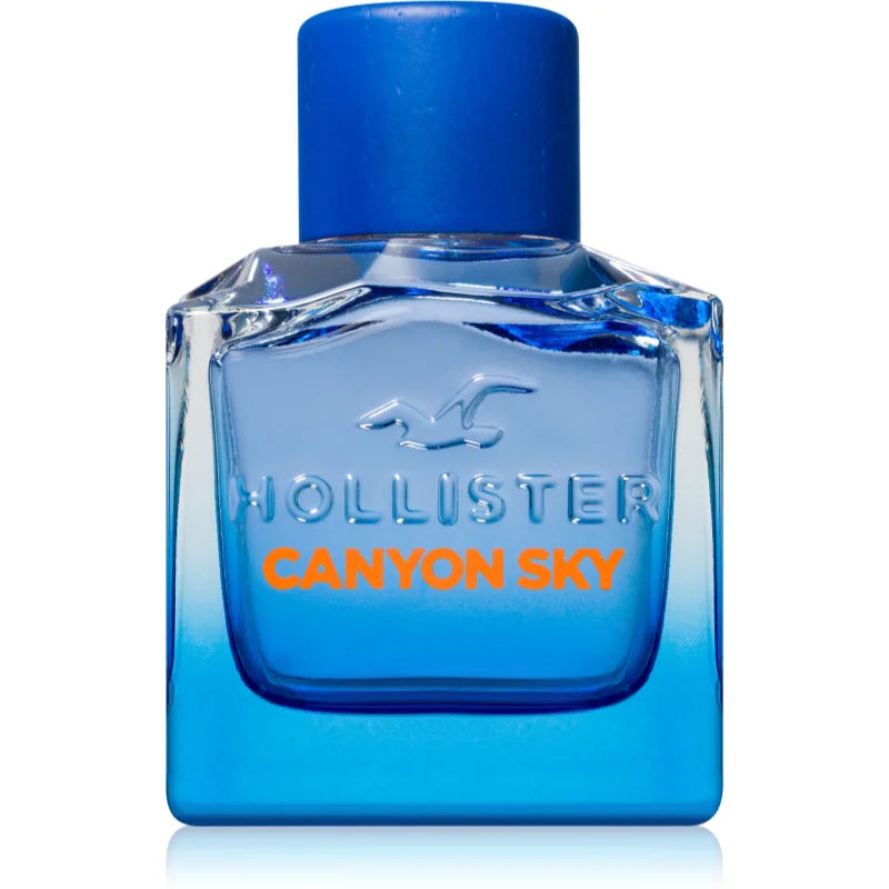hollister-canyon-sky-for-him-eau-de-toilette-100-ml