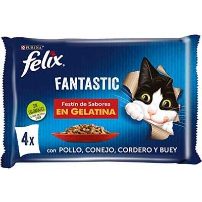 Purina Felix Fantastic kattenvoer voor volwassenen, gesorteerd vlees, 12 verpakkingen met 4 zakjes à 85 g, 48 zakjes - natvoer katten