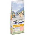 Dog Chow, met zalm, zak 14 kg - hondenbrokken