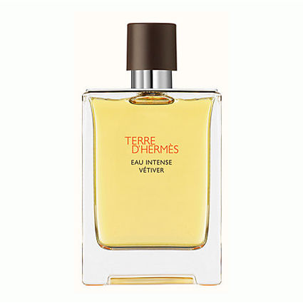 Hermes Terre D'Hermes Eau Intense Vetiver Eau de Parfum 100 ML 100 ML