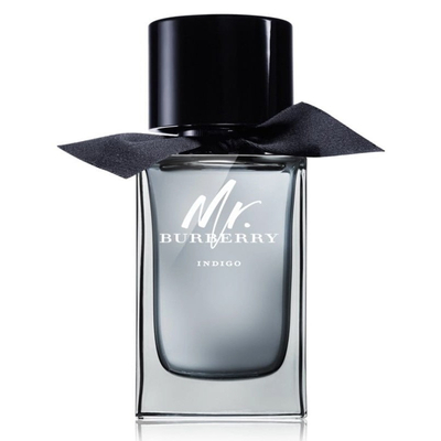 Burberry Mr. Burberry Indigo Eau de Toilette spray 100 ml