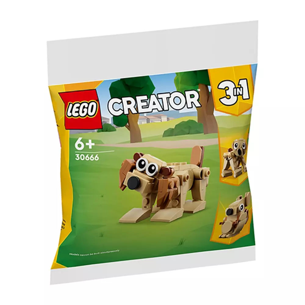 lego-creator-3in1-gift-animals-polybag-30666