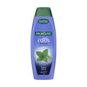 3x Palmolive Shampoo Basics Anti-Roos 350 ml