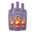 Andrelon Shampoo Glans 3 x 300 ml