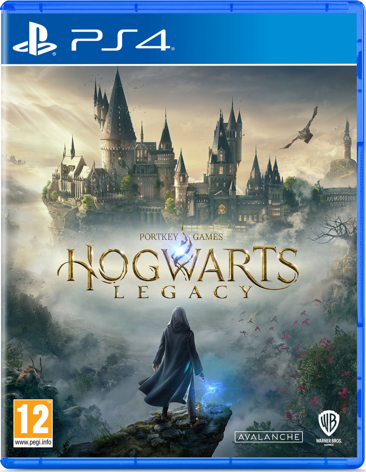 Hogwarts Legacy PlayStation 4