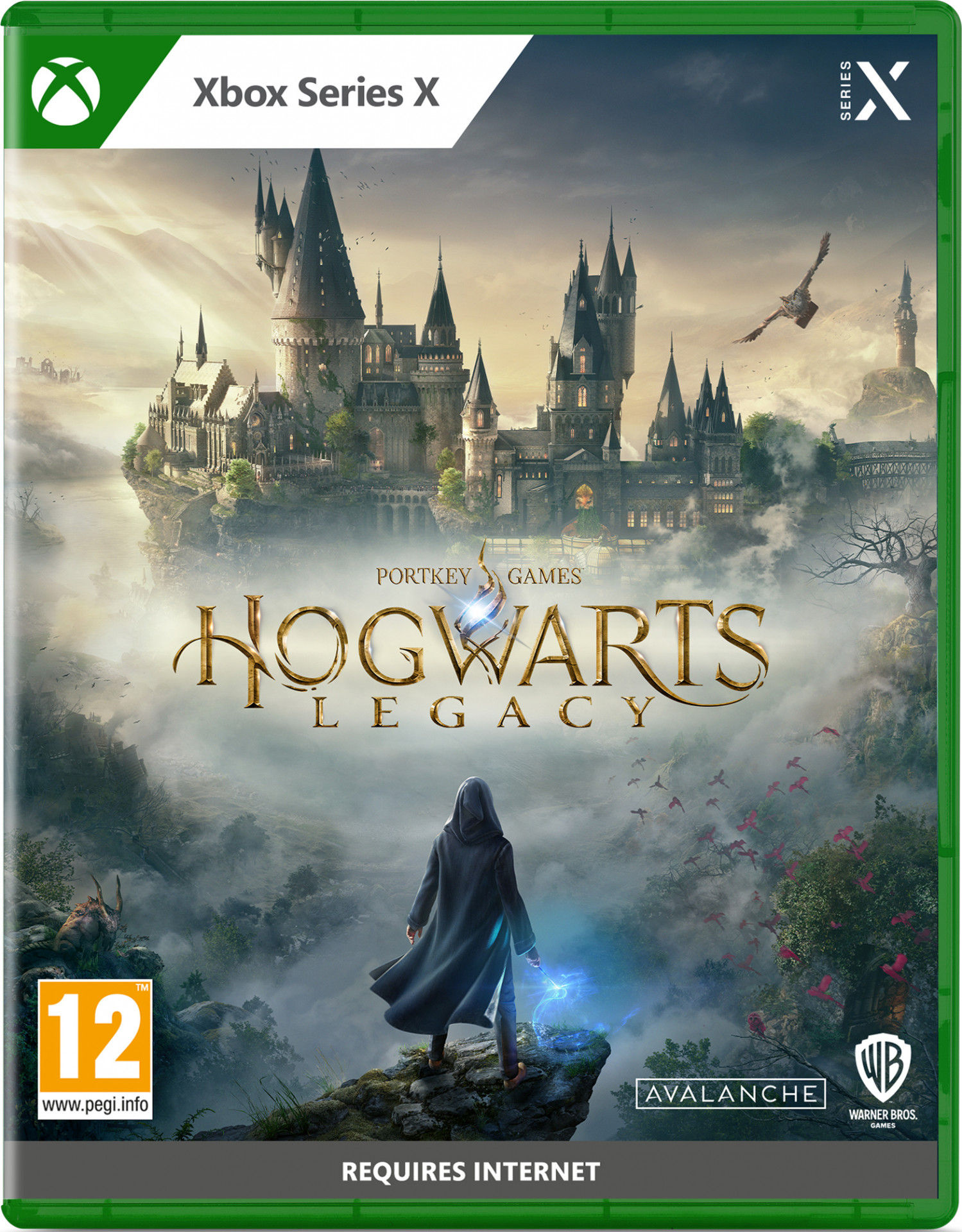 Hogwarts Legacy Xbox Series X