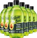 Nature Box - Avocado Shampoo - Haarverzorging  - 6 x 385 ml
