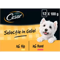 Cesar Maaltijdkuipje - Selectie in gelei - Hondenvoer - 12 x 100g - natvoer honden