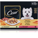 Cesar Selectie in Gelei Maaltijdzakjes Honden Natvoer - Vlees en Groenten in Gelei - 48 x 100g natvoer honden
