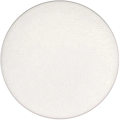 MAC Pro Palette Refill Eyeshadow Frost White