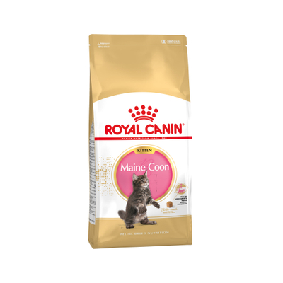 Royal Canin Maine Coon Kitten - 2 kg - kattenbrokken