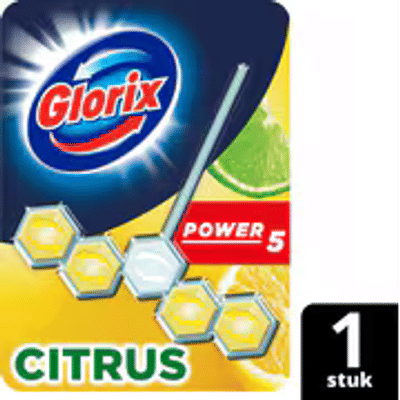 Glorix Power 5 Toiletblok Citrus 1 stuk