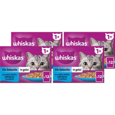 Whiskas 1+ Natvoer - Vis - Selectie in gelei - maaltijdzakjes 4 x 12 x 85g - natvoer katten