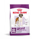 Royal Canin Giant Adult hondenvoer 2 x 4 kg - hondenbrokken